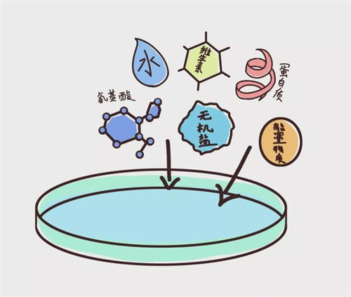 试管移植生化了是什么意思：用私人试管婴儿生一个男孩需要多少钱？[附有热门试管婴儿诊所的推荐]。