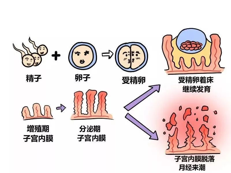 太原代生机构哪家好-太和与十堰市人民医院试管婴儿哪个好？选择一家有实力的医院